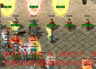 �������֮�գ�˽�˷���֮�⣬������Ϸ���Ի�������Щ�߼���Ļ��