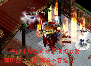 ����սʿ����׷��Ķ�����������Щ������嵥���ݴ���