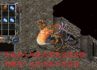 ����սʿ����׷��Ķ�����������Щ������嵥���ݴ���