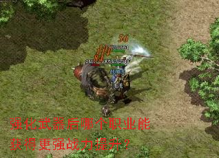 ǿ���������ĸ�ְҵ�ܻ�ø�ǿս��������