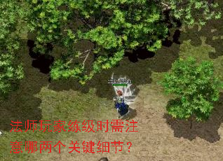 ��ʦ�������ʱ��ע���������ؼ�ϸ�ڣ�