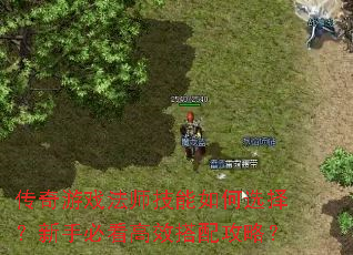 ������Ϸ��ʦ�������ѡ�����ֱؿ���Ч���乥�ԣ�