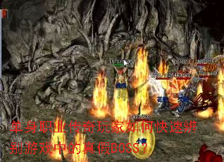 ����ְҵ���������ο��ٱ����Ϸ�е����BOSS��