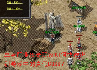 ����ְҵ���������ο��ٱ����Ϸ�е����BOSS��