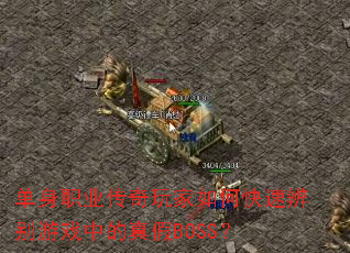 ����ְҵ���������ο��ٱ����Ϸ�е����BOSS��