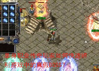 ����ְҵ���������ο��ٱ����Ϸ�е����BOSS��