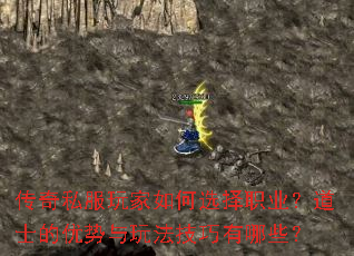 ����˽��������ѡ��ְҵ����ʿ���������淨��������Щ��