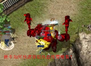 ������ο��ٻ�ȡ��Ѫ�����װ��