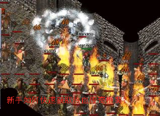 ������ο��ٻ�ȡ��Ѫ�����װ��