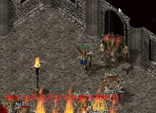 ������ο��ٻ�ȡ��Ѫ�����װ��