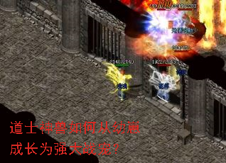 ��ʿ������δ����̳ɳ�Ϊǿ��ս�裿