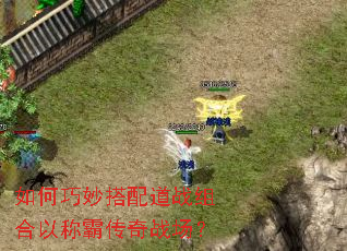 �����������ս����ԳưԴ���ս����