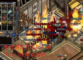 ������Ϸ��ô�棿�������Ź���ȫ����