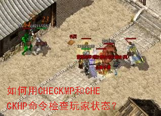 �����CHECKMP��CHECKHP���������״̬��