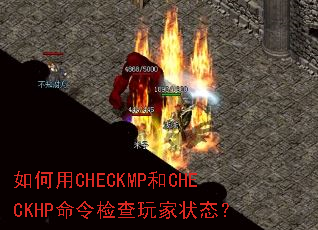 �����CHECKMP��CHECKHP���������״̬��