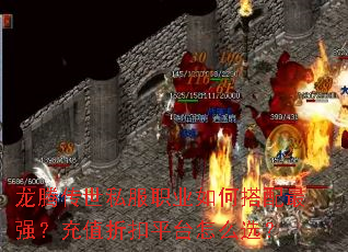 ���ڴ���˽��ְҵ��δ�����ǿ����ֵ�ۿ�ƽ̨��ôѡ��