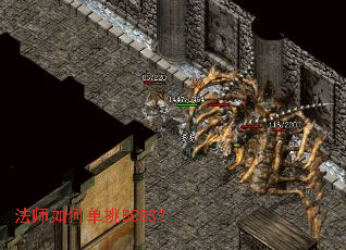 ��ʦ��ε���BOSS��