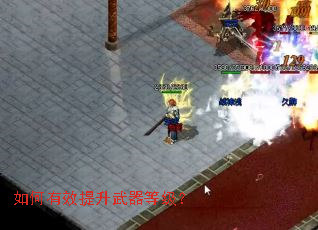 �����Ч���������ȼ���