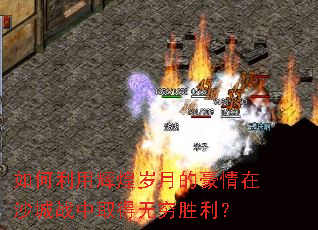 ������ûԻ����µĺ�����ɳ��ս��ȡ������ʤ����