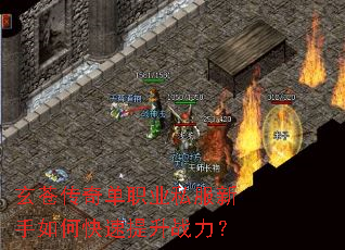 ���Դ��浥ְҵ˽��������ο�������ս����