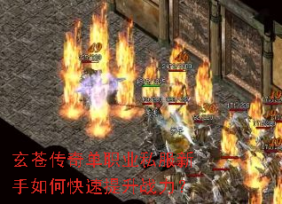 ���Դ��浥ְҵ˽��������ο�������ս����