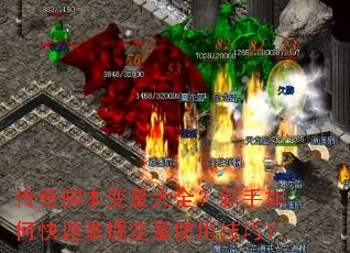 ����ű�������ȫ��������ο������ձ���ʹ�ü��ɣ�