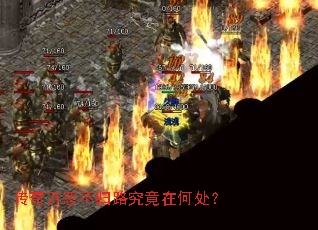 ������񲻹�·�����ںδ���