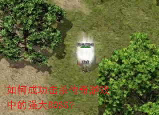 ��γɹ���ɱ������Ϸ�е�ǿ��BOSS��