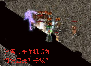 ��ѩ���浥������ο��������ȼ���