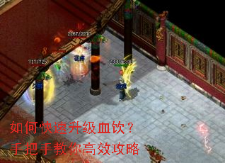 ��ο�������Ѫ�����ְ��ֽ����Ч����