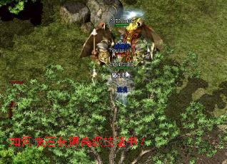 ��ο��ٻ�ø߼������飿