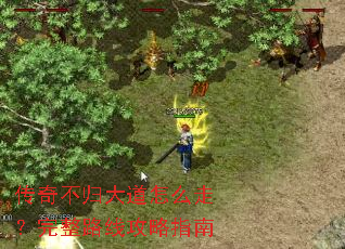 ���治������ô�ߣ�����·�߹���ָ��