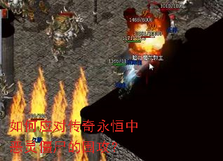 ���Ӧ�Դ��������ж��齩ʬ��Χ����