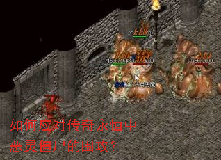 ���Ӧ�Դ��������ж��齩ʬ��Χ����