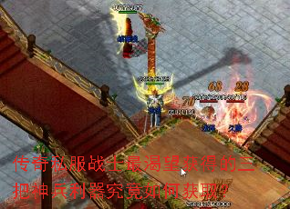 ����˽��սʿ�������õ������������������λ�ȡ��