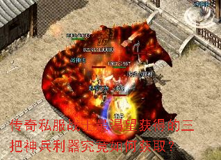 ����˽��սʿ�������õ������������������λ�ȡ��