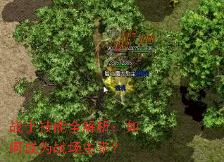 սʿ����ȫ��������γ�Ϊս�����ף�