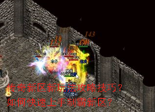 �����������淨���Լ��ɣ���ο��������ư�������