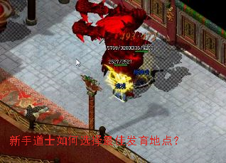 ���ֵ�ʿ���ѡ����ѷ����ص㣿