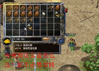 ������Ϸװ����ôѡ�����ֱؿ�����