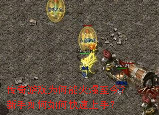 ������ϷΪ���ܻ��������������ο������֣�