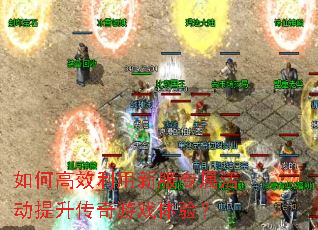 ��θ�Ч�����·�ר�������������Ϸ���飿