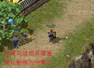 ��θ�Ч����¡��ǿ�����������ޣ�