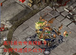 ����������Ӣ��������ο�������ս����