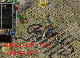 �����Ч��ɱ���¶�Ѩ��BOSS���