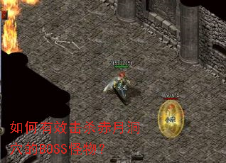 �����Ч��ɱ���¶�Ѩ��BOSS���