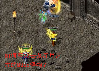 �����Ч��ɱ���¶�Ѩ��BOSS���