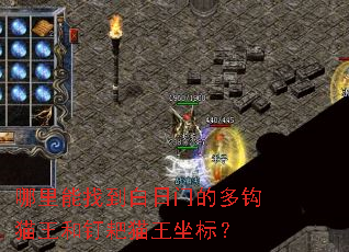 �������ҵ������ŵĶ๳è���Ͷ���è�����ꣿ