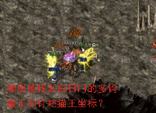 �������ҵ������ŵĶ๳è���Ͷ���è�����ꣿ