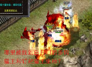 �������ҵ������ŵĶ๳è���Ͷ���è�����ꣿ